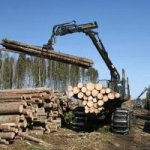 Распри деления