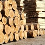 Особенности развития деревообрабатывающей отрасли Украины