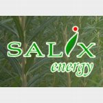 агро-энергетическая компания &laquo;SALIX energy&raquo;